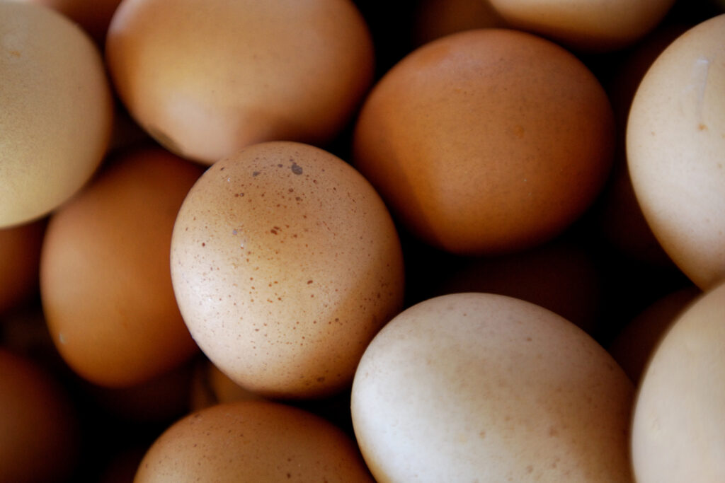 titel Integreren Yoghurt Prijs van eieren rijst de pan uit: één ei is driekwart ei
