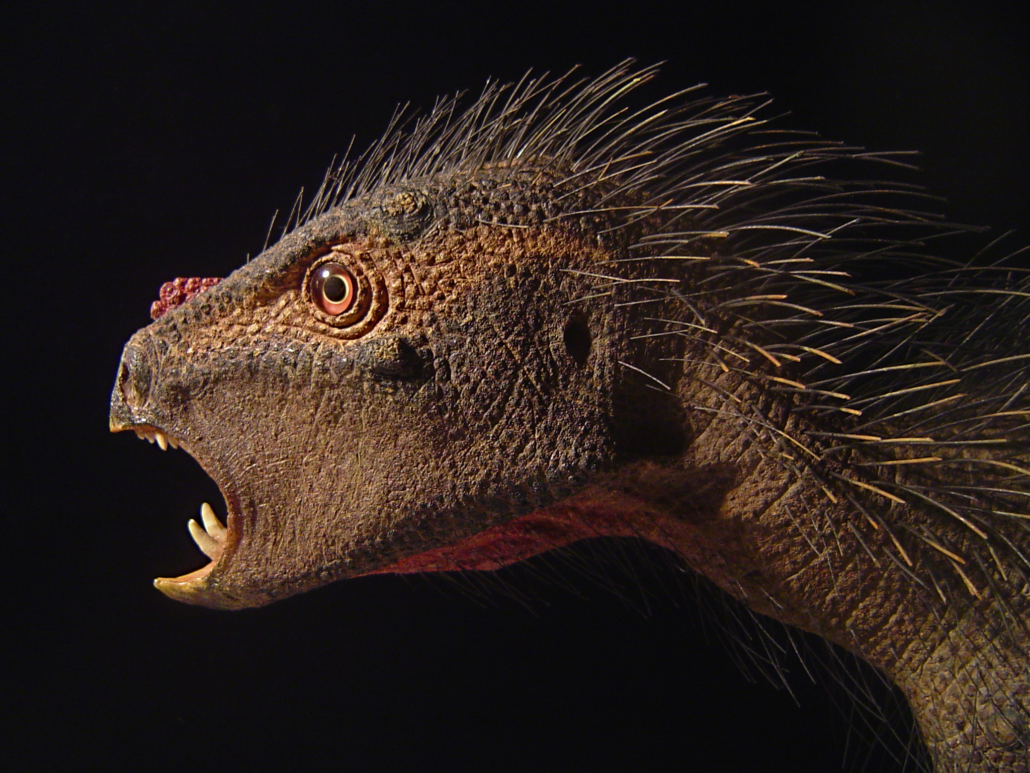 Названия живых существ. Пегомастакс динозавр. Heterodontosaurus Tucki. Странные динозавры. Редкие динозавры.