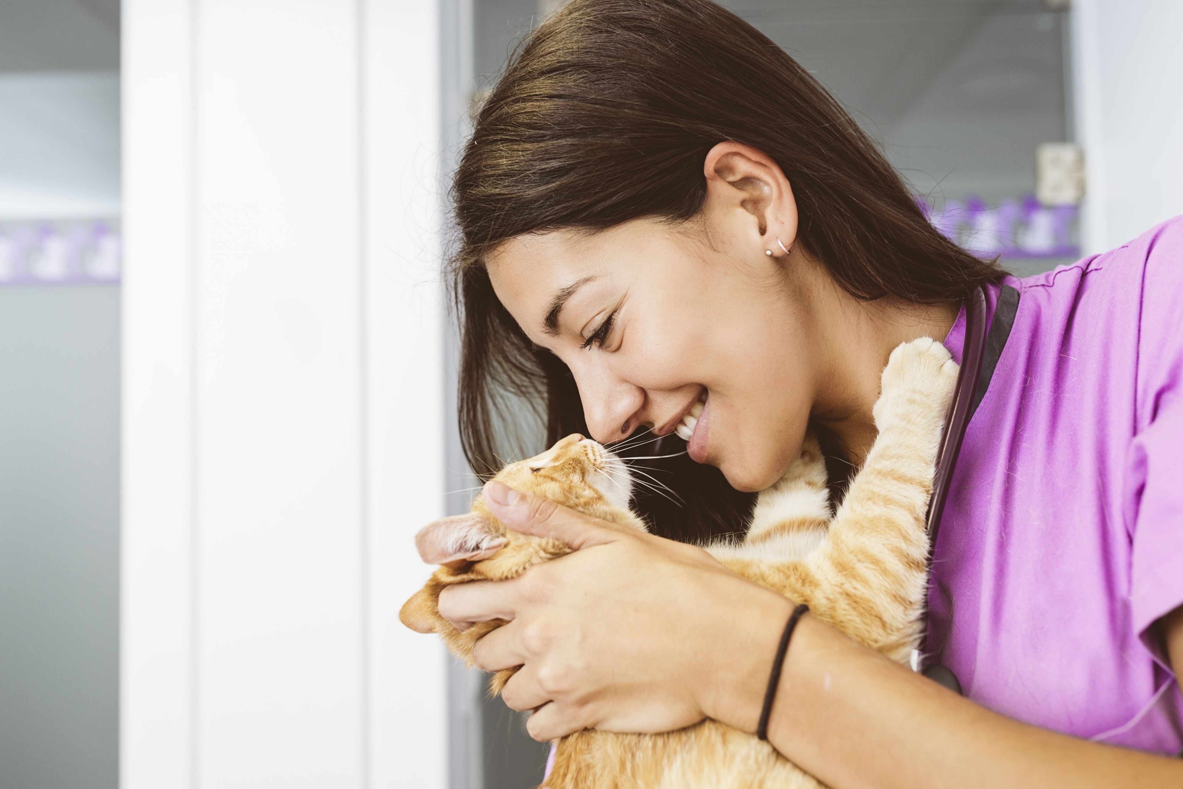 Studie bewijst: kat knuffelt liever dan dat het eet