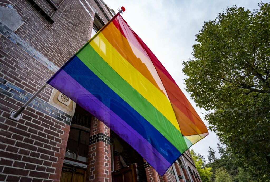 Haarlemse buurt hangt straten vol met regenboogvlaggen