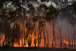Australische brandweerman omgekomen bij bosbranden