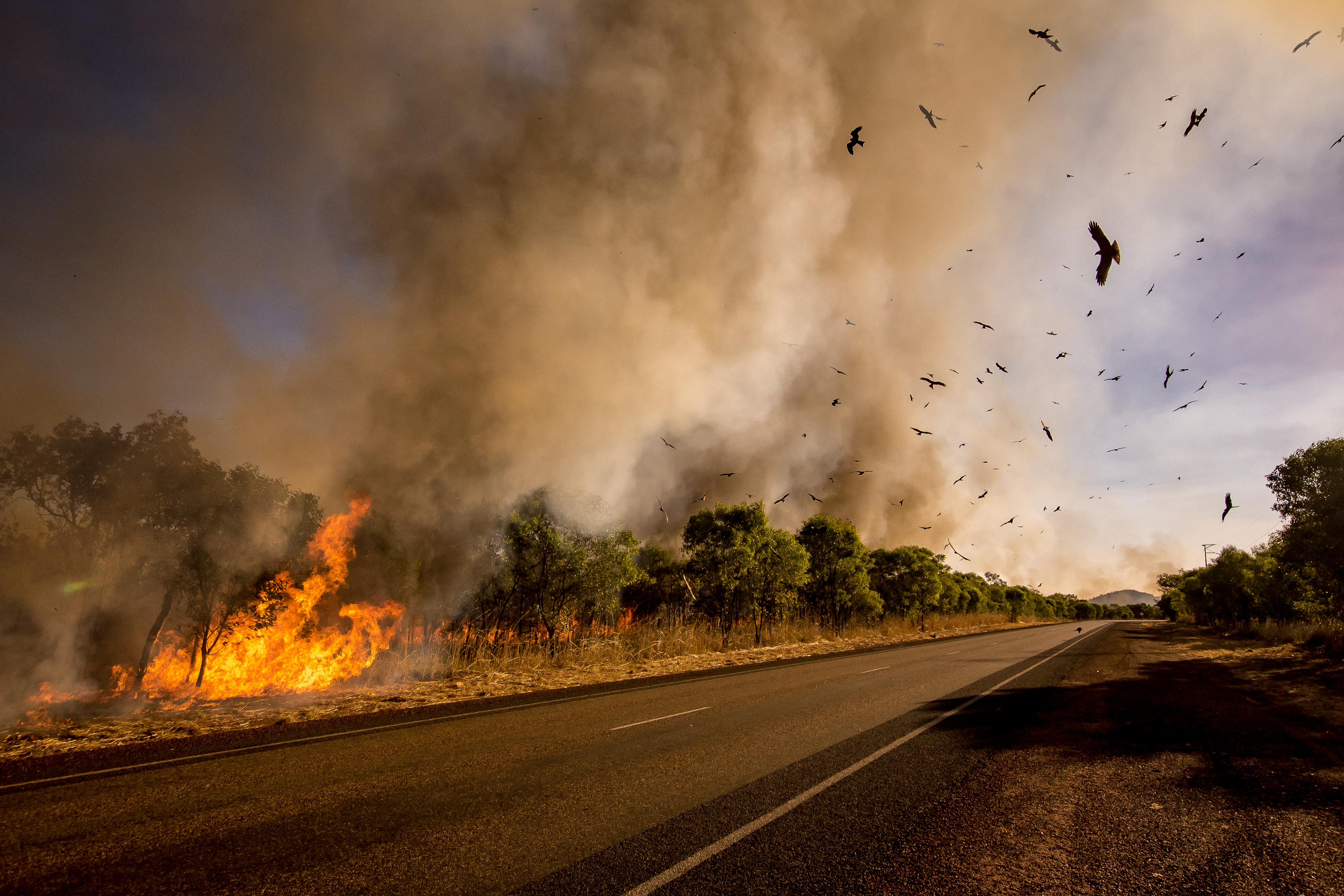 Kwart miljoen Australiërs moet vluchten voor alsmaar grotere vuurzee