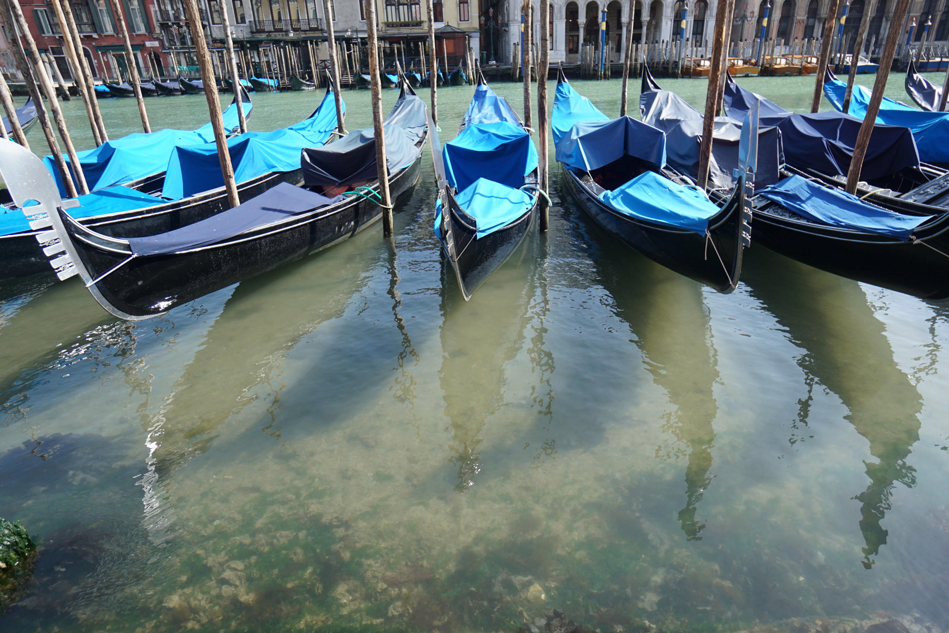 Burgemeester van Venetië mist toeristen: 'venite a Venezia'
