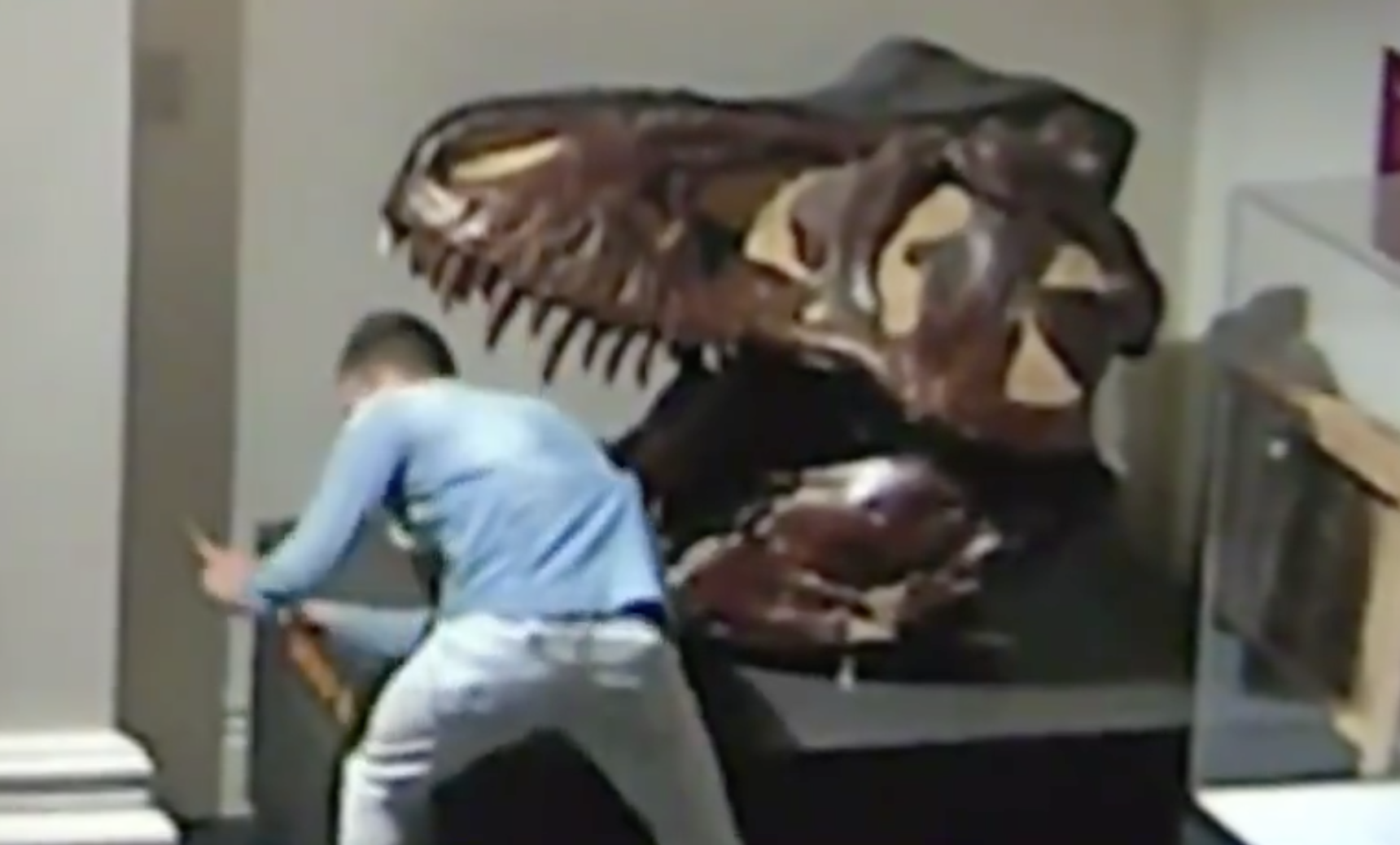 Museuminbreker in Sydney maakt selfies met dino-schedel