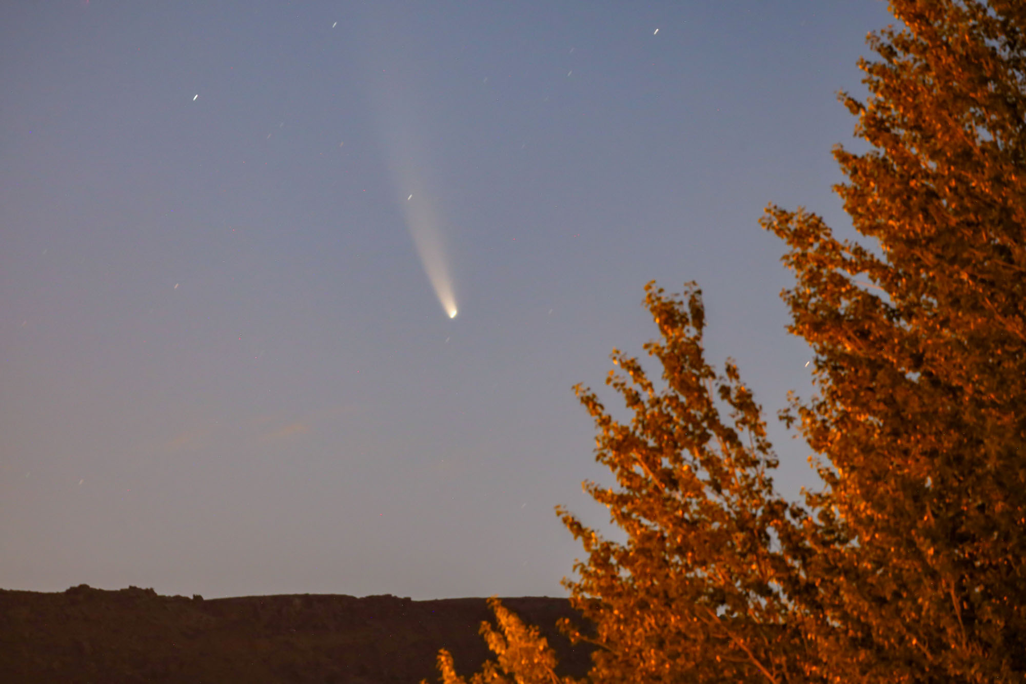 Какая комета сегодня. Комета НЕОВАЙС. Комета неовайз невооруженным глазом. Неовайз Комета в России. Комета Галлея невооруженным глазом.