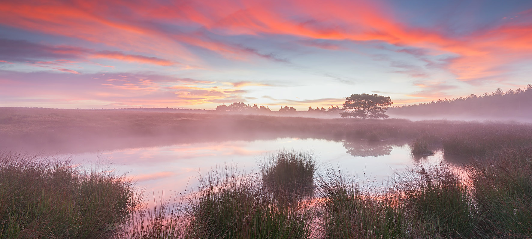 Op deze foto zie je een prachtige zonsopkomst bij een meer in National Park De Hoge Veluwe.