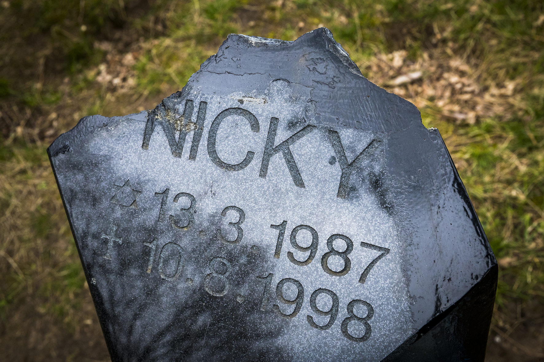 De gedenksteen voor Nicky Verstappen op de Brunssummerheide
