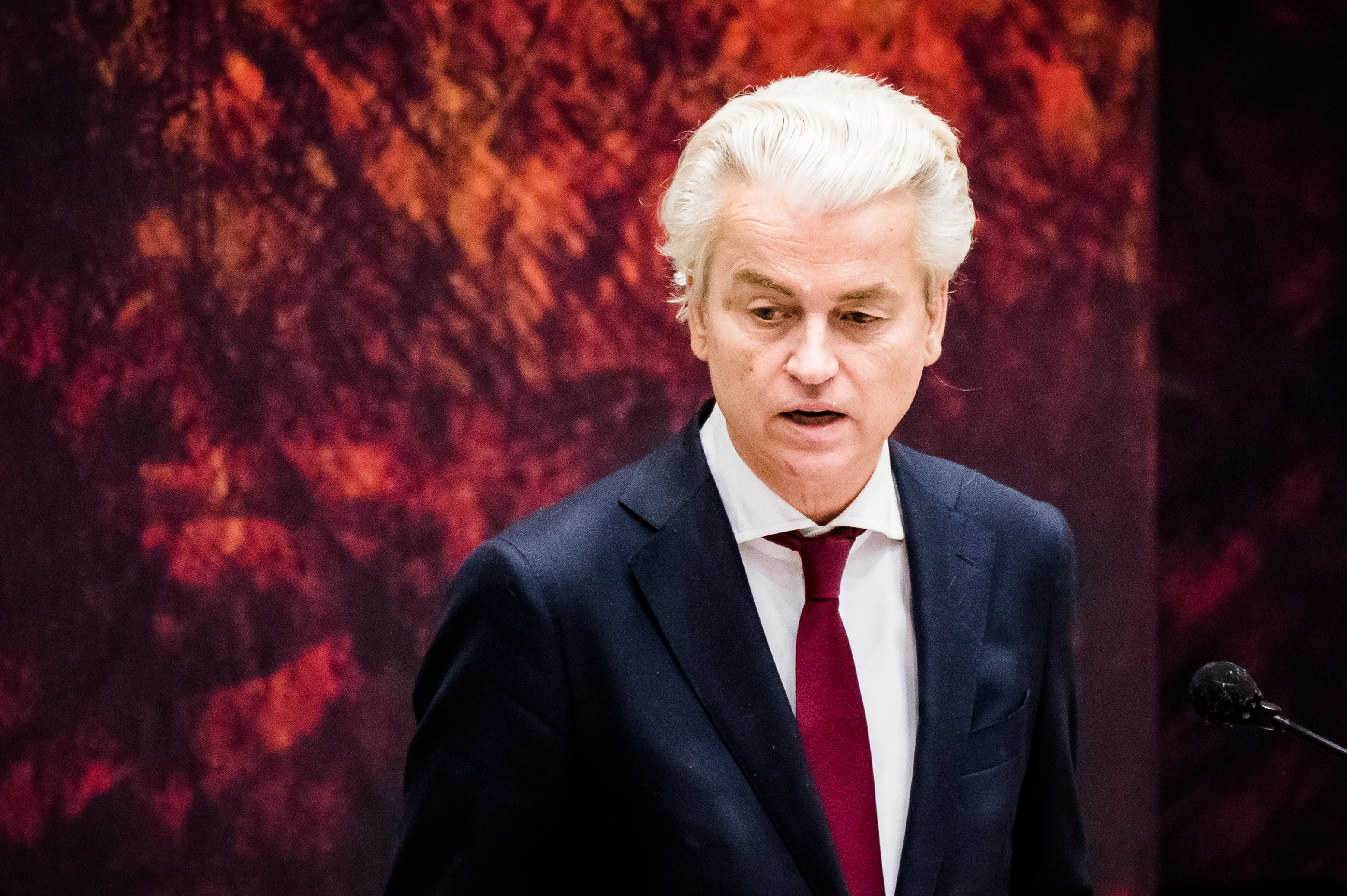 Een foto van Geert Wilders
