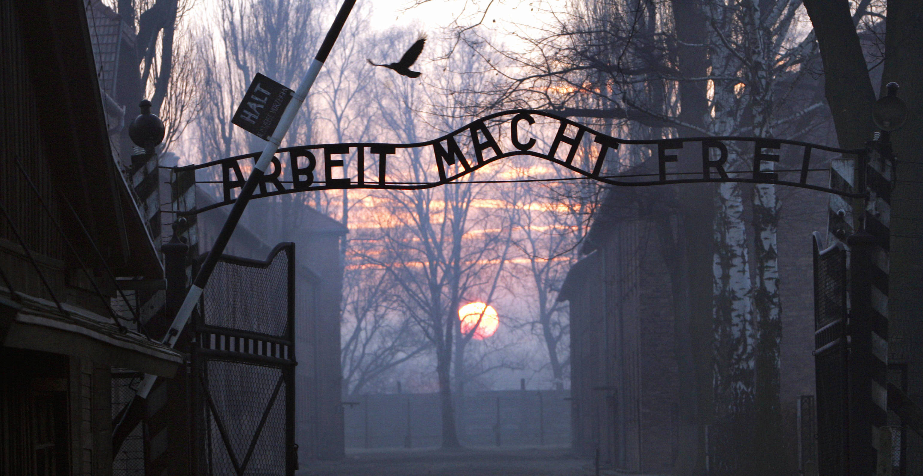 Auschwitz Nederlandse vrouw polen hitlergroet foto