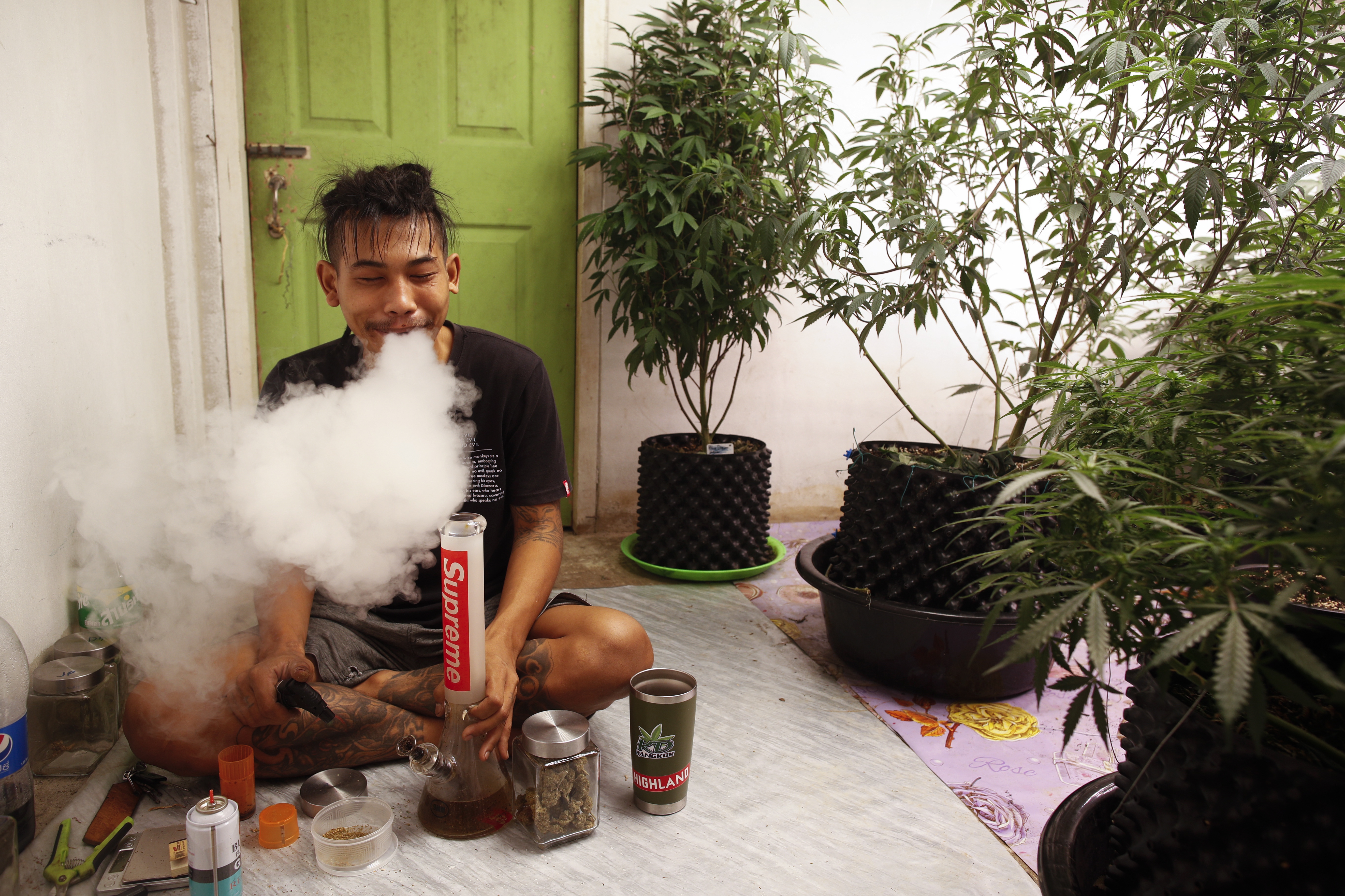 Thaise man rookt wiet naast zijn eigen wietplanten