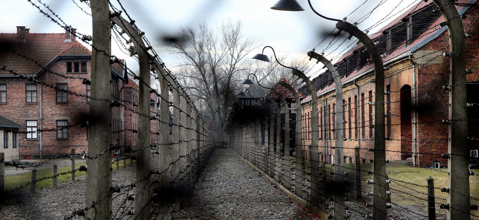 Holocaust jodenvervolging jongeren onderzoek