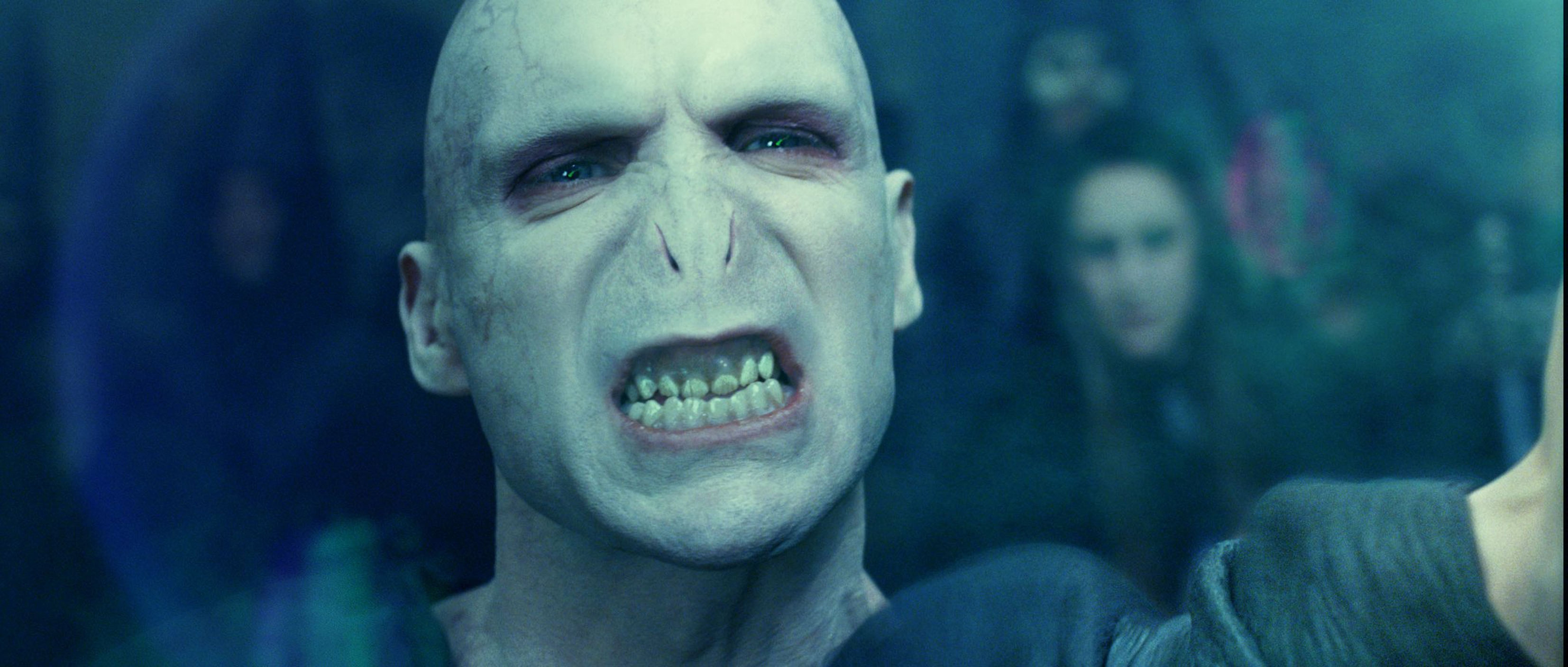 Nieuw ontdekte miersoort vernoemd naar Voldemort
