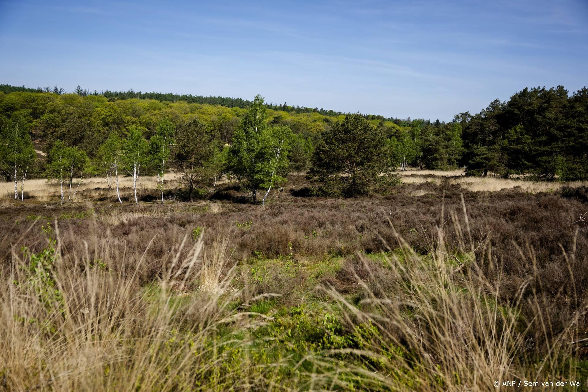 UGCHELEN - Heide in natuurgebied 't Leesten, tijdens een perswandeling van Brandweer Nederland. Tijdens een campagne wordt er stilgestaan bij het voorkomen van natuurbranden. Door de aanhoudende droogte is in het hele land het risico op natuurbranden groot. ANP SEM VAN DER WAL