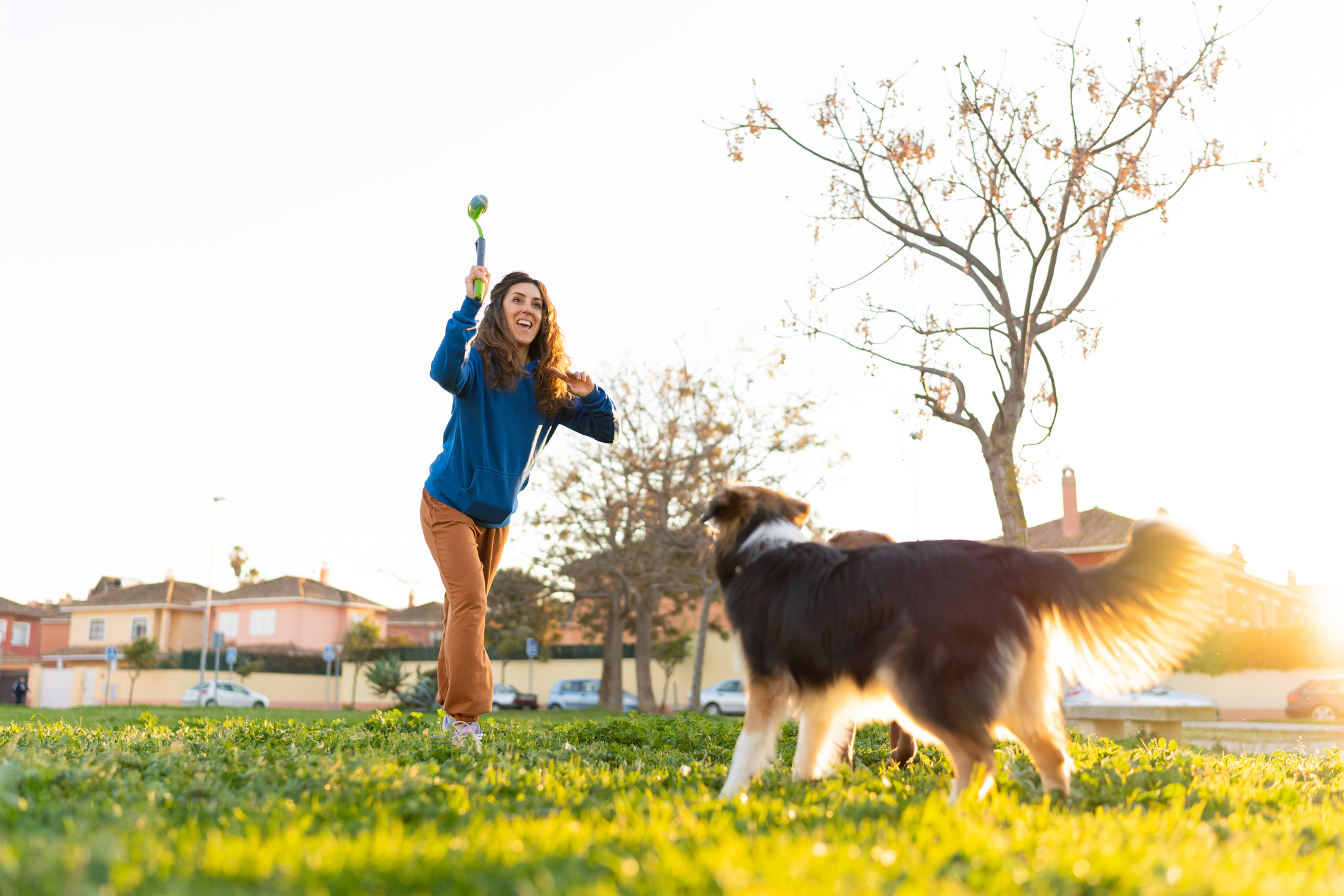 Een gezond gewicht voor je huisdier is belangrijk