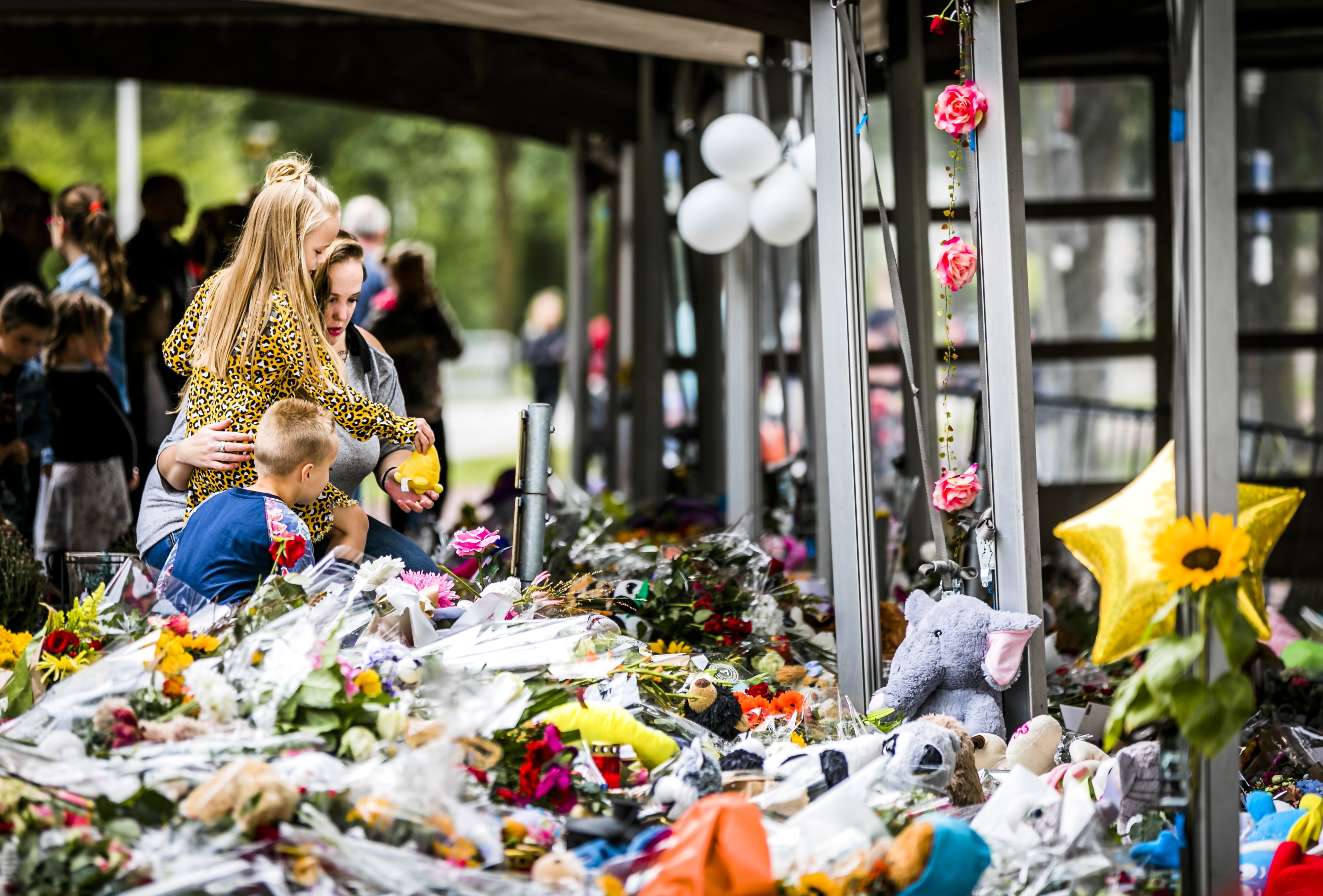 stint Oss bloemenzee