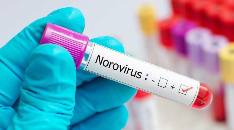 The Uninvited Guest: Battling the Norovirus